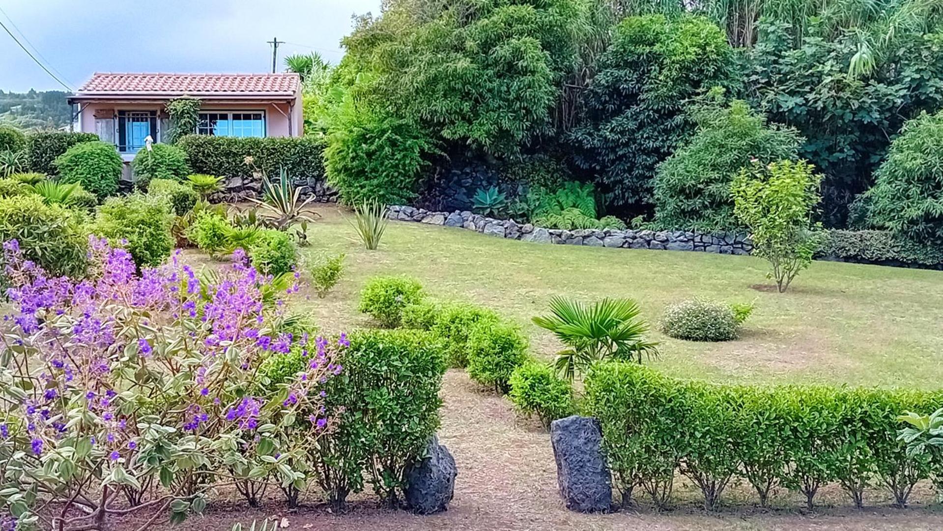 Faial Cottage B&B Cedros Exterior photo